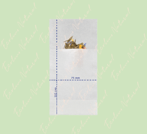 Filtro papel s, finum 100 bolsitas