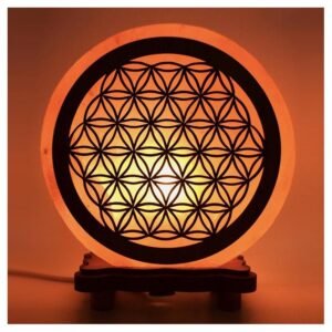 Flor vida Lámpara sal natural