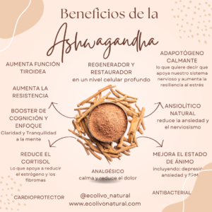 Ashwagandha natural en polvo, planta adaptógena con propiedades regeneradoras, restauradoras y equilibrantes para el bienestar físico y emocional.
