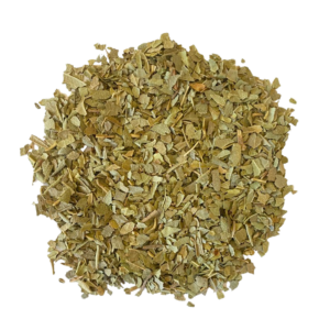 Hierba Boldo (Peumus boldus)