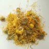 Caléndula en Flor Ecológica