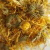 Caléndula en Flor Ecológica
