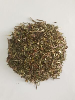 Diente de León (Taraxacum officinale) – Propiedades depurativas, digestivas y diuréticas